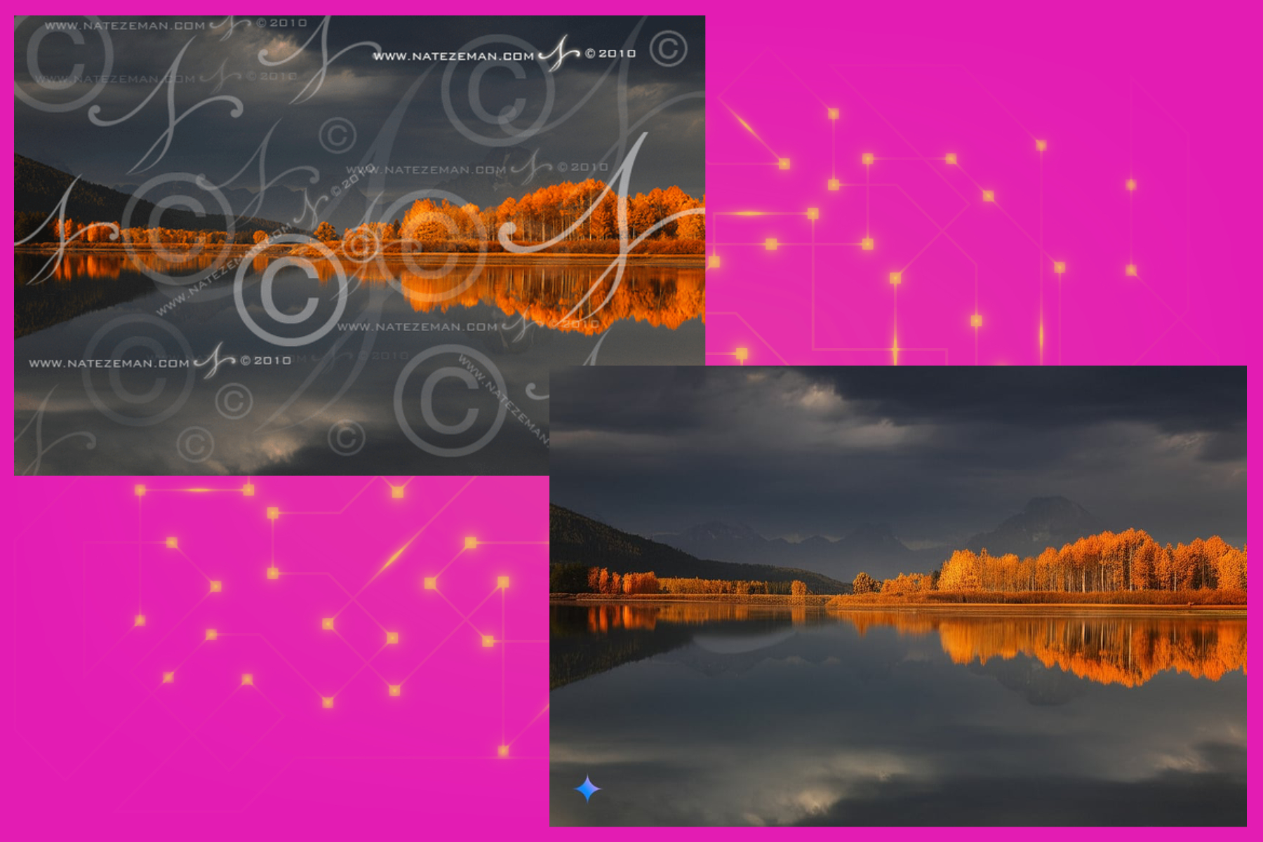 Specimen 4 of Gemini removing watermark from copyrighted images.