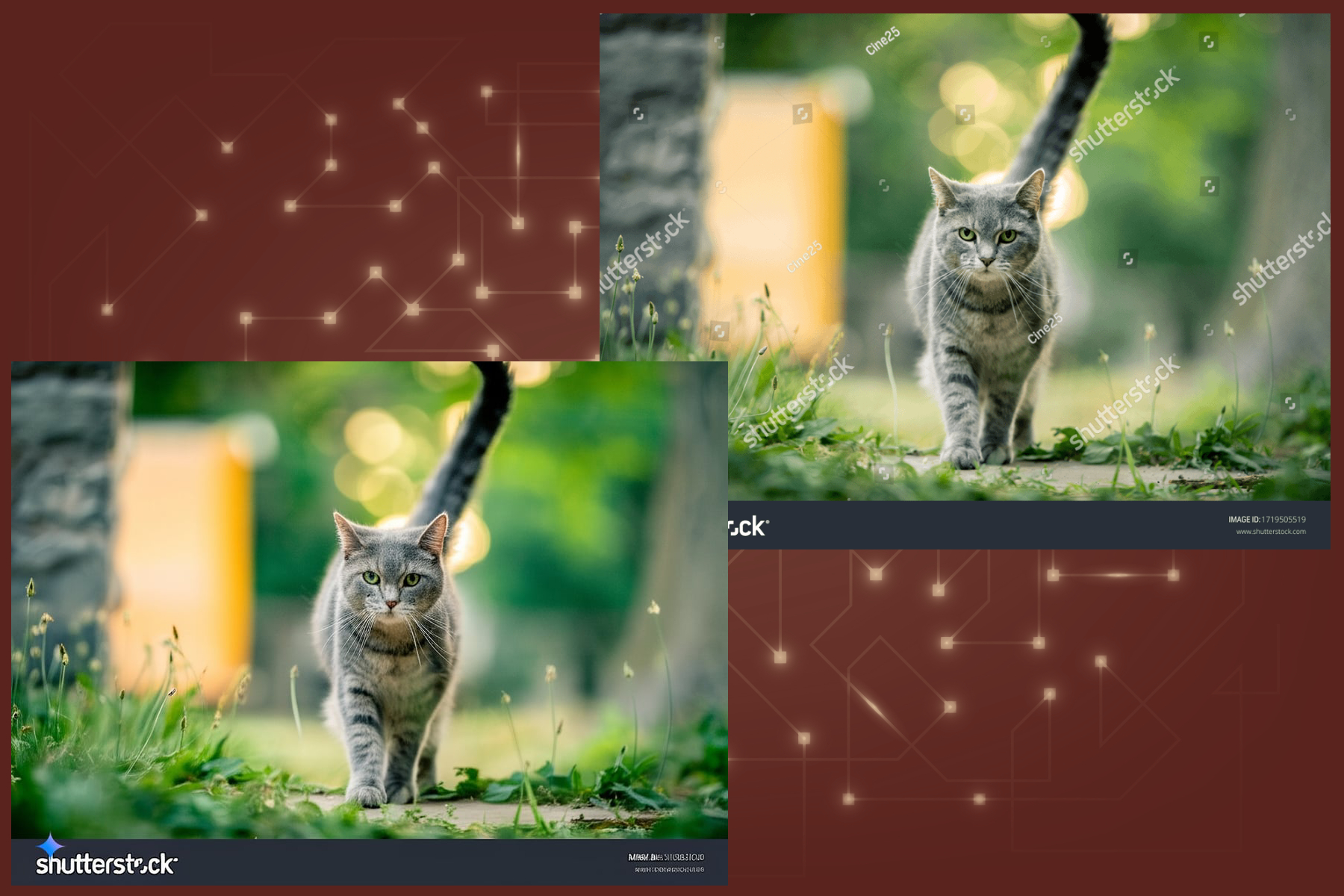 Specimen 3 of Gemini removing watermark from copyrighted images.