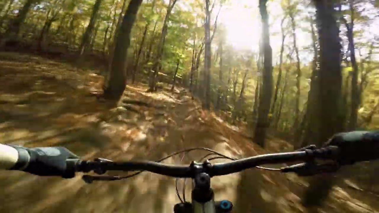 منظور الحركة - YouTube