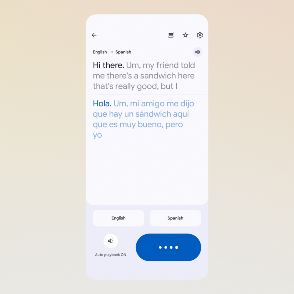 Google Translate screenshot
