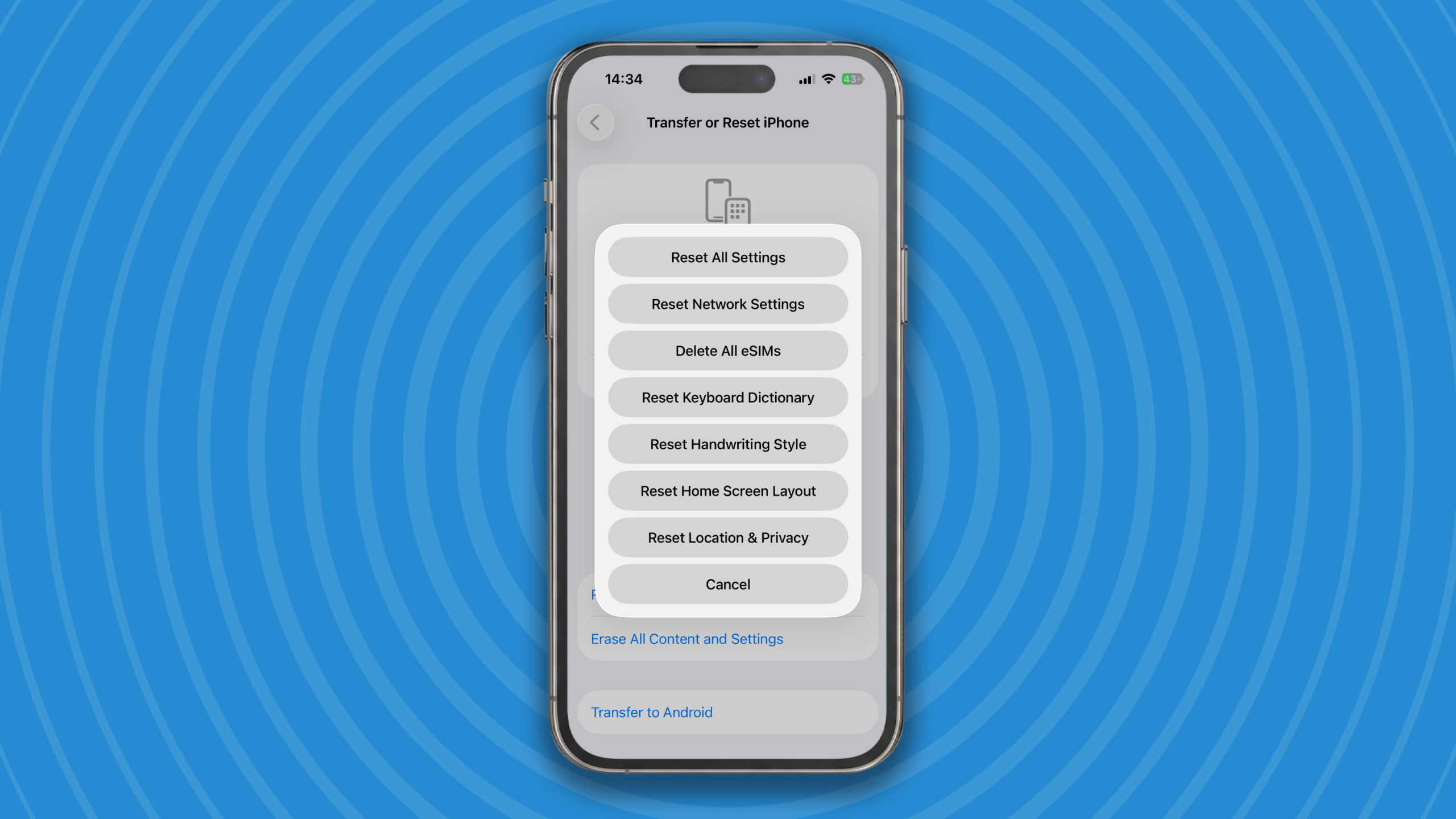 شاشة إعادة التعيين على iPhone.