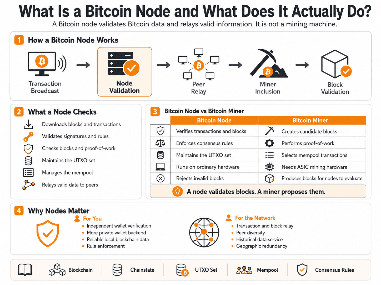 ما هي عقدة Bitcoin وماذا تفعل بالفعل؟