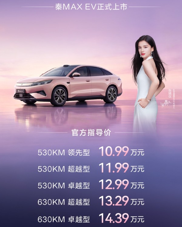 أسعار BYD Qin Max EV