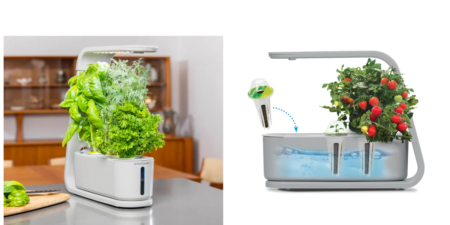نظام AeroGarden Sprout للزراعة المائية الداخلية