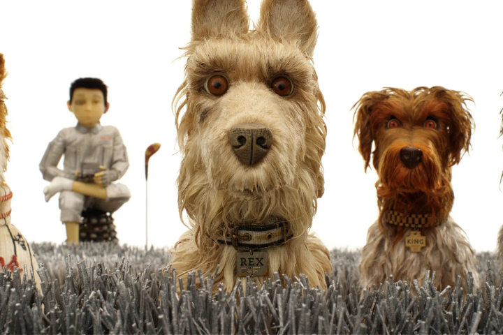 Rex and King sit in a field together in Isle of Dogs.