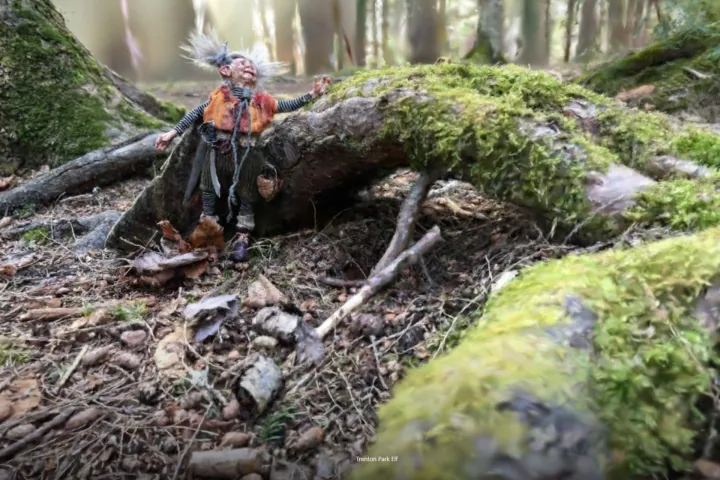 Into the Scaniverse lets me view the world from elf height and peek under tree roots.