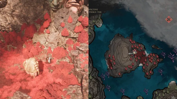 Red island lost gestral in Clair Obscur: Expedition 33.