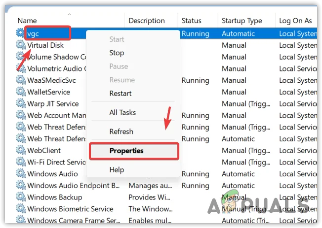 فتح خصائص خدمة vgc.