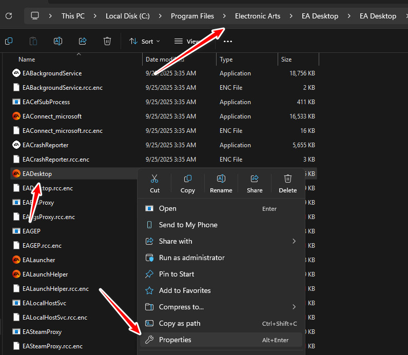 نافذة خصائص EA Desktop