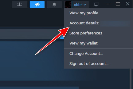 Steam Account Details