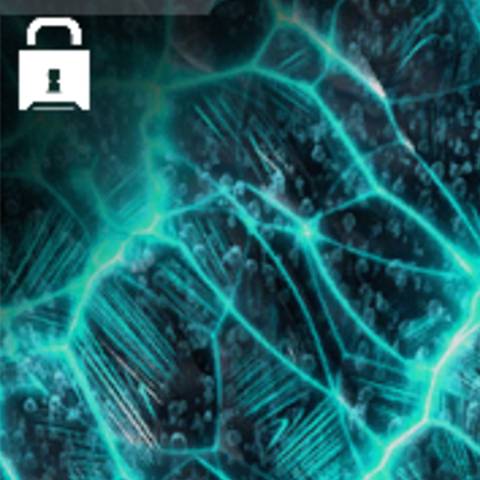 تمويه Absolute Zero في Warzone