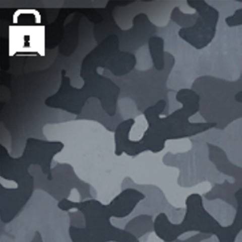 تمويه Arctic في Warzone