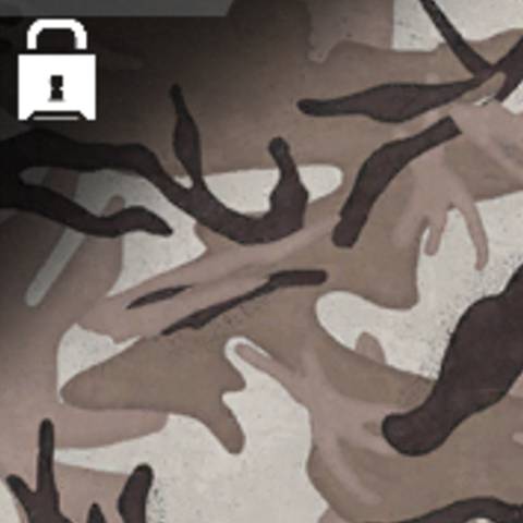 تمويه Arid في Warzone