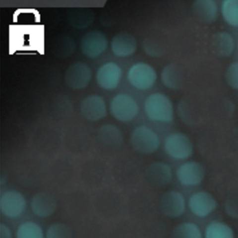 تمويه Shimmer في Warzone