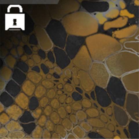 تمويه Topaz Snake في Black Ops 7