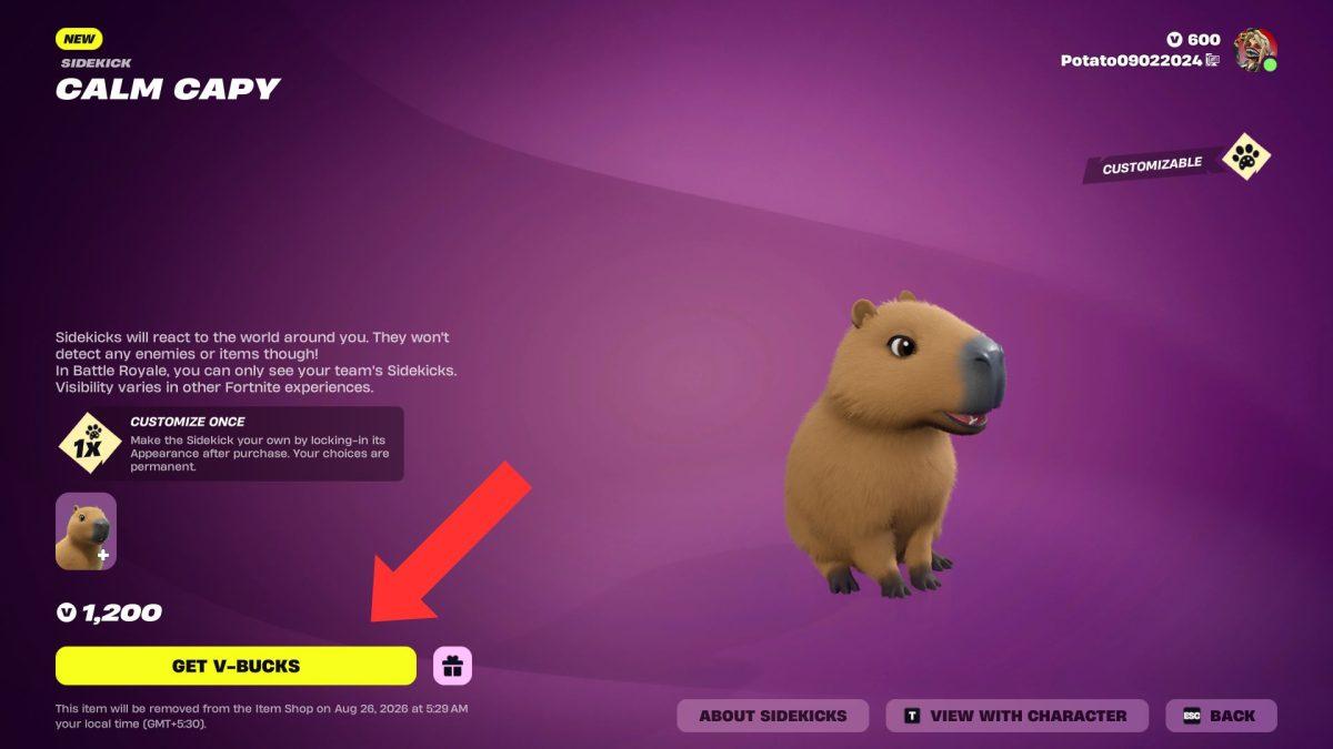 رفيق Calm Capy في متجر عناصر Fortnite
