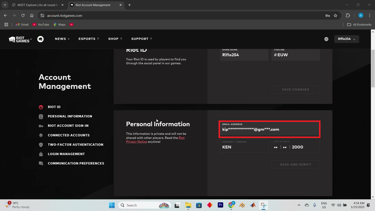 إعدادات حساب Riot لتغيير عنوان البريد الإلكتروني قبل إرسال رسالة تحقق جديدة.