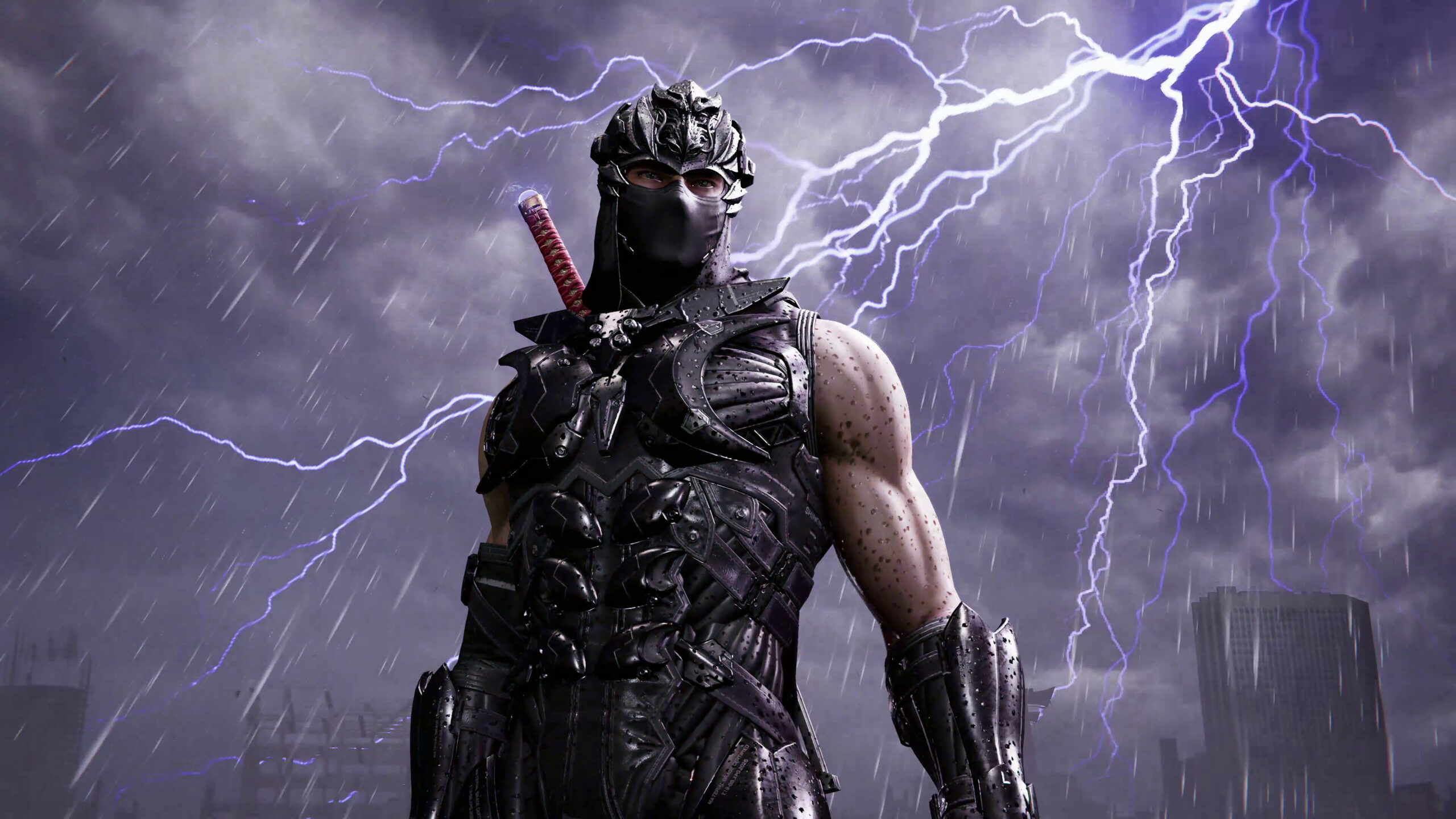 شخصيات من لعبة Ninja Gaiden 4