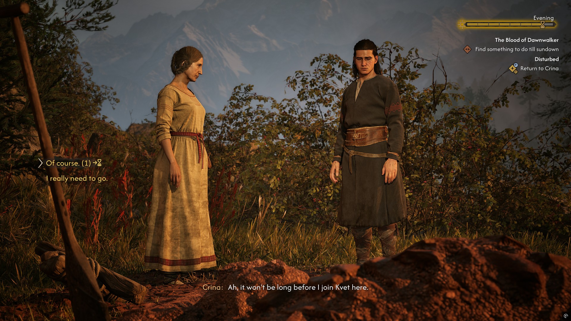 كوين ينظر إلى قبر كرينا المدنس في The Blood of Dawnwalker بينما يفكر فيما إذا كان سيقضي ساعة في مساعدتها على إعادة دفن العظام