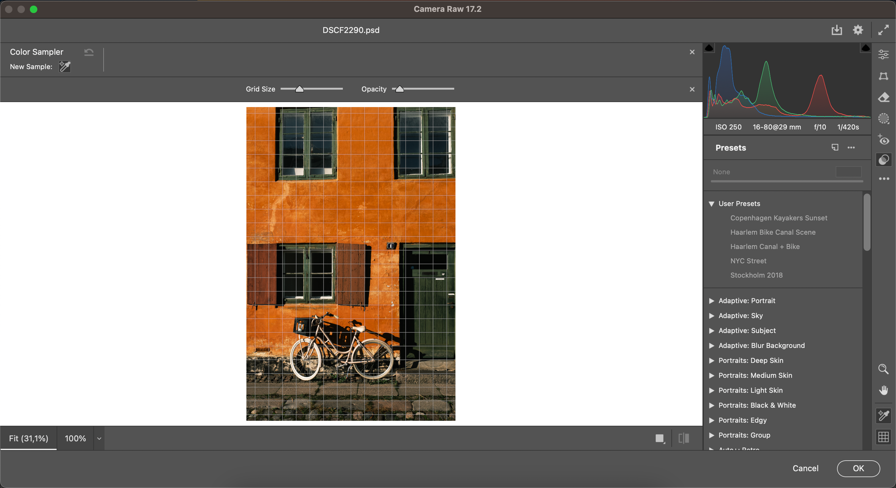 استخدام رسم بياني في تطبيق Camera Raw