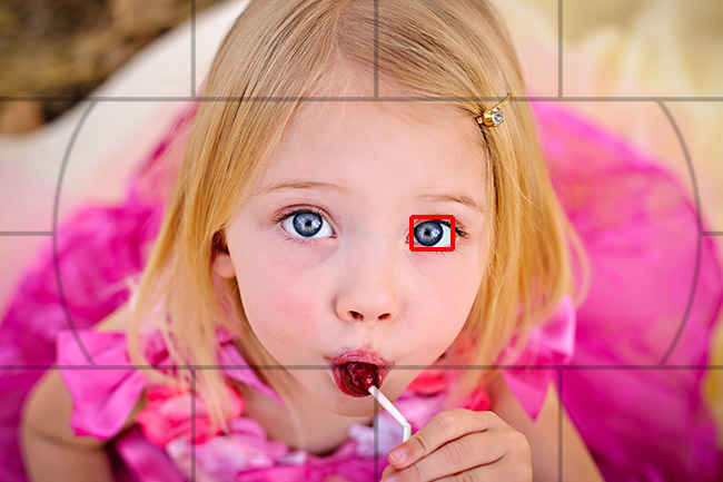 وضع منطقة التركيز البؤري التلقائي بنقطة واحدة (Single-Point AF-Area Mode)