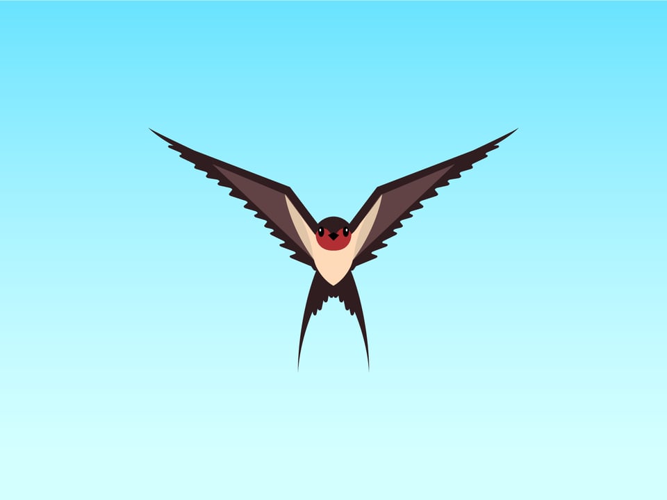 Bird flying toward you illustration