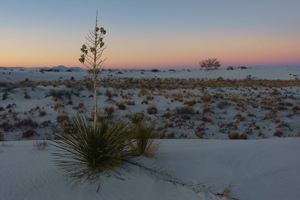 Camera Meter - Underexposed Image