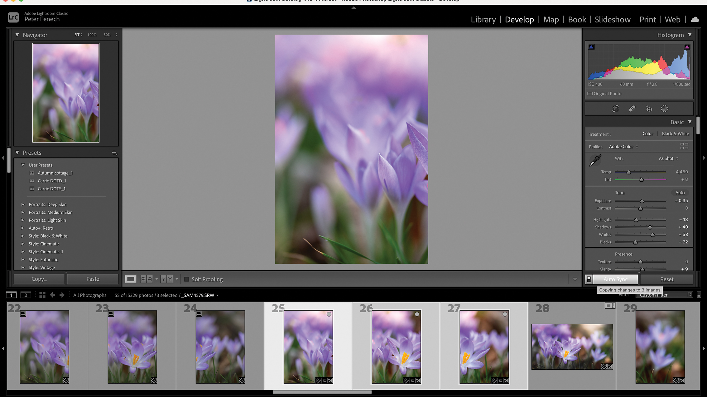 صورة رقمية لأزهار بنفسجية زاهية، يُرجح أنها زهور الزعفران، قيد التعديل في Photoshop. تظهر الواجهة طبقات وأدوات الألوان.