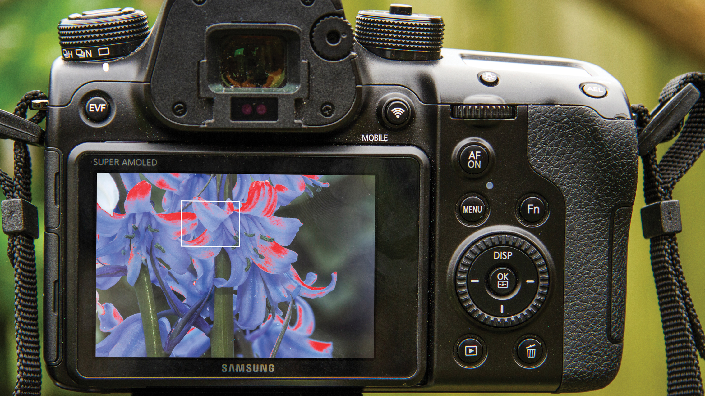 كاميرا Samsung DSLR سوداء من الخلف تظهر شاشة LCD مع هدف زهري مميز