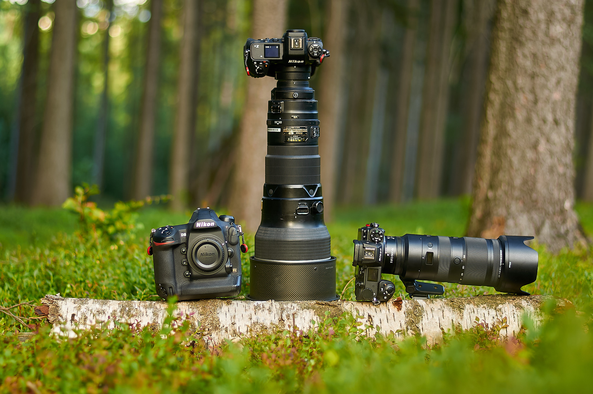 أفضل كاميرات Nikon لتصوير الحياة البرية 2026