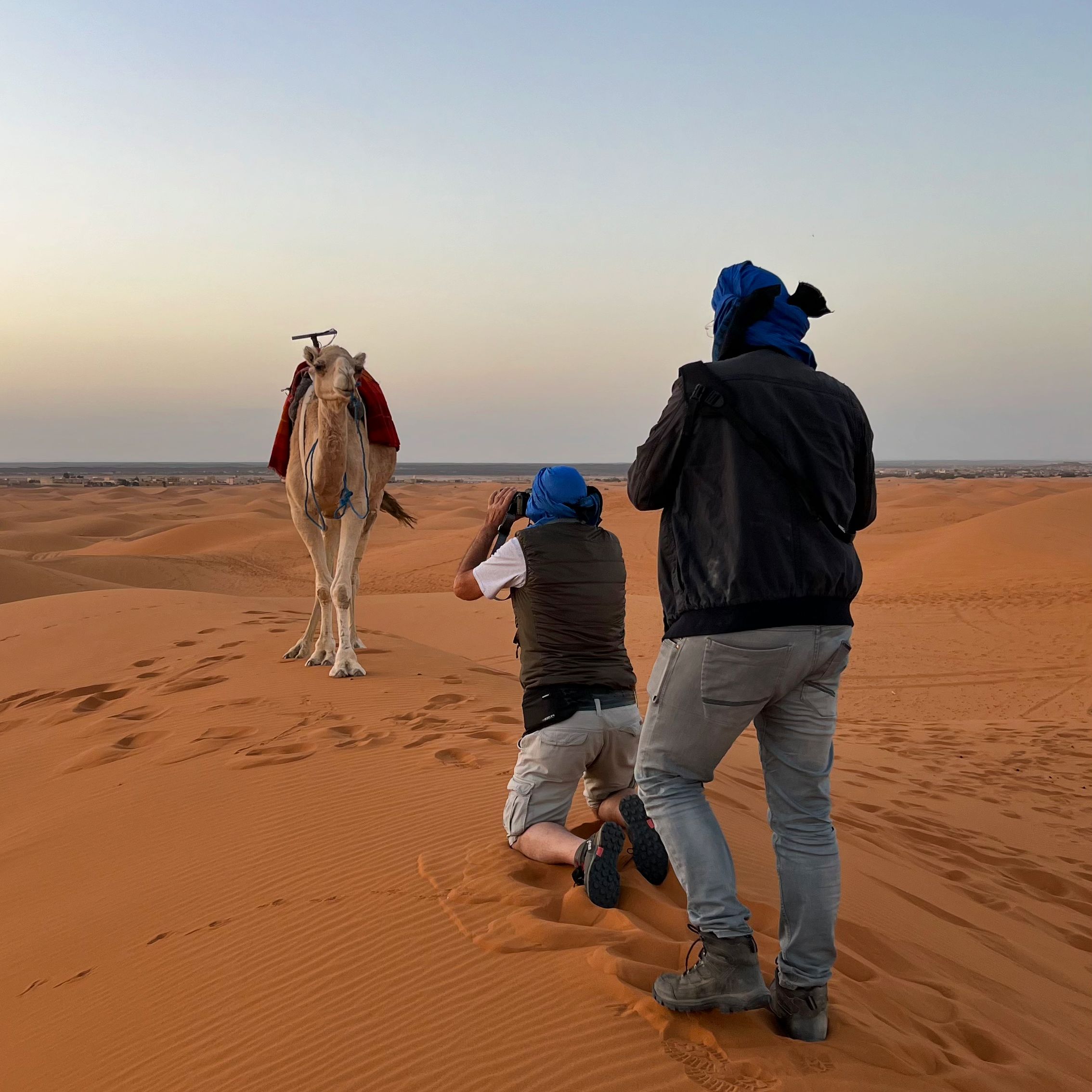 إذا كان لديك هدف مثل جمل صبور، جرب التصوير من أوضاع وزوايا مختلفة