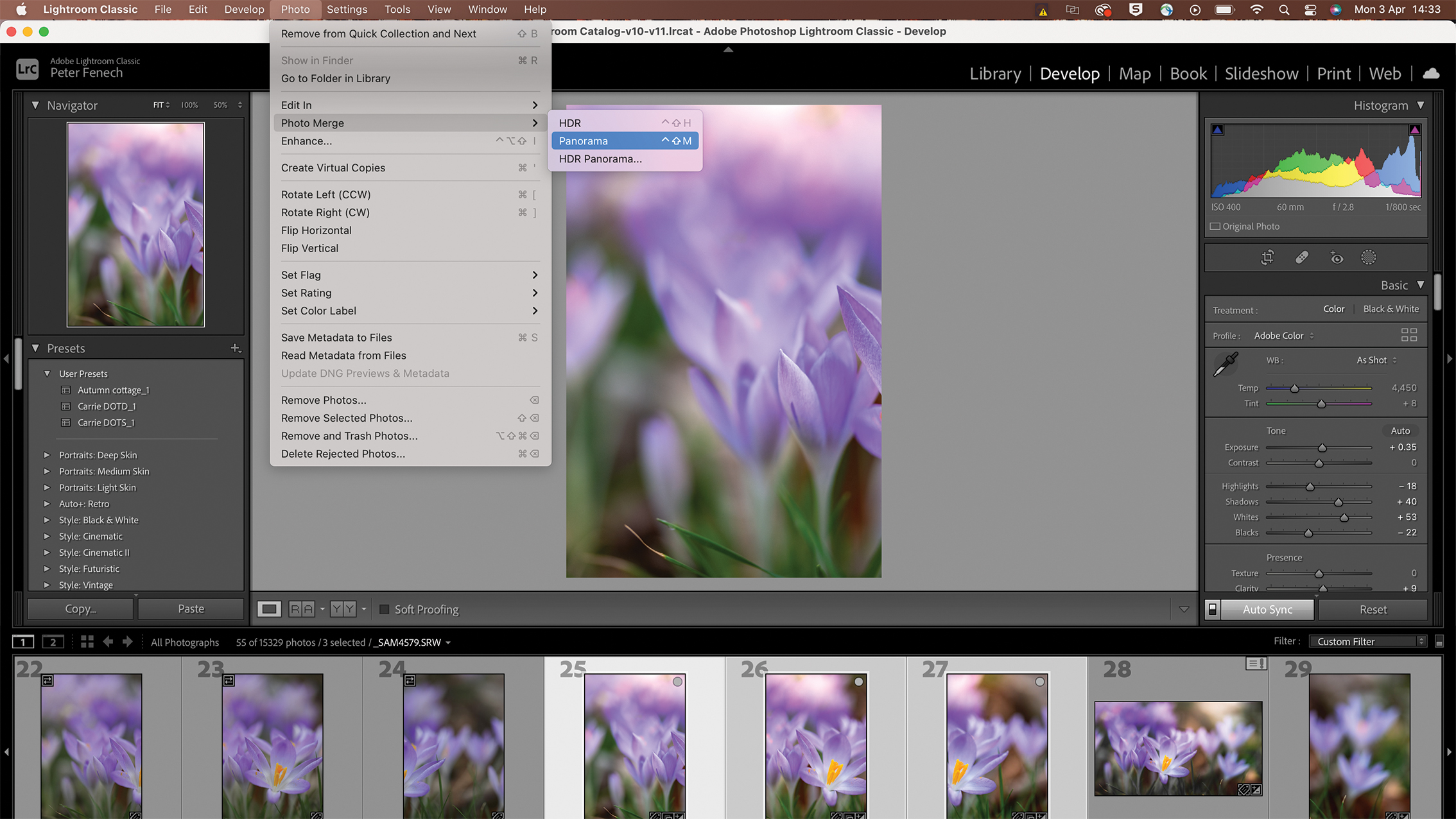 صورة رقمية لأزهار بنفسجية زاهية، يُرجح أنها زهور الزعفران، قيد التعديل في Photoshop. تظهر الواجهة طبقات وأدوات الألوان.
