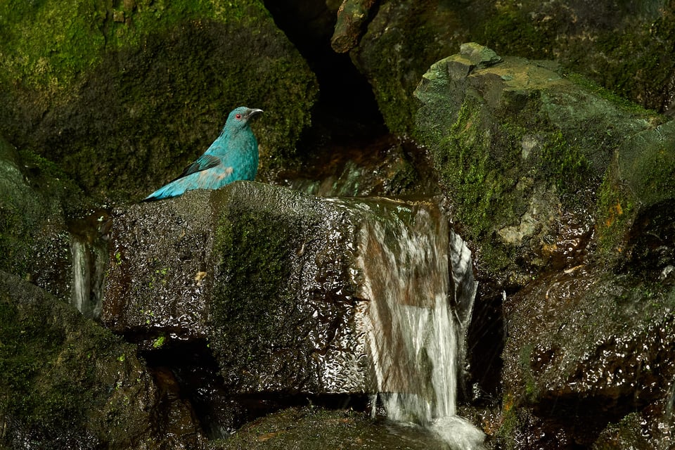 Nikon Z50 II_صور عينة_DSC_1365