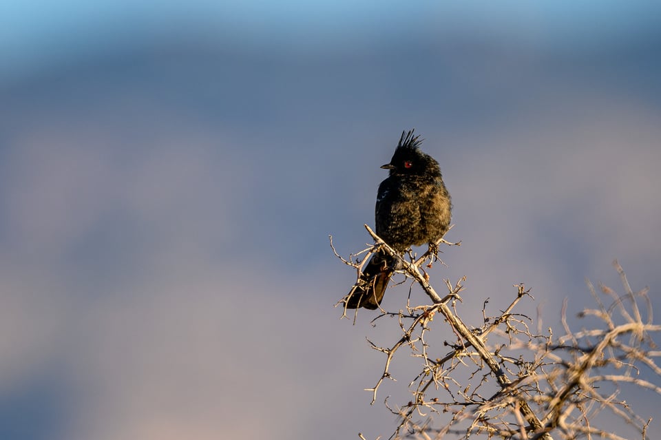 صور عينة من Nikon Z7 II #34