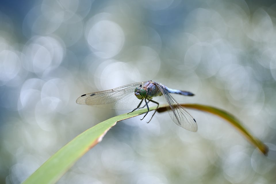 صور عينة من Nikon Z6 III_DSC1991