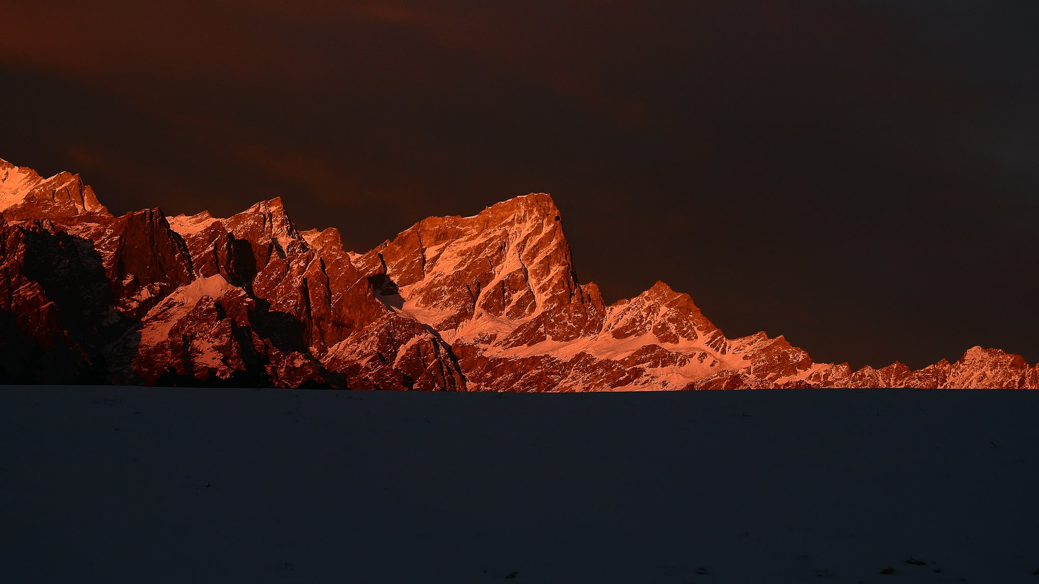 صورة DSC_0294