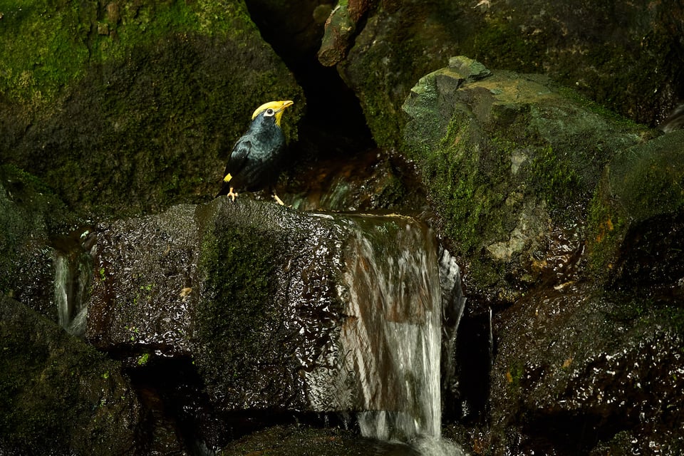 Nikon Z50 II_صور عينة_DSC_1331