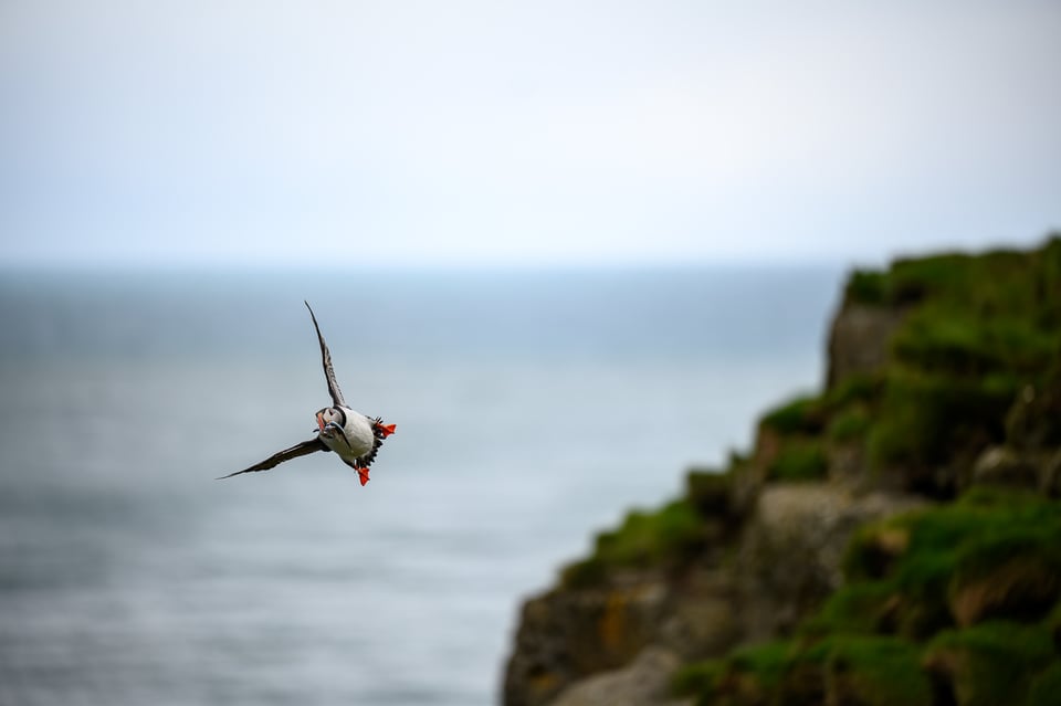 صورة عينة من عدسة Nikon Z 70-200mm f/2.8 S رقم 28