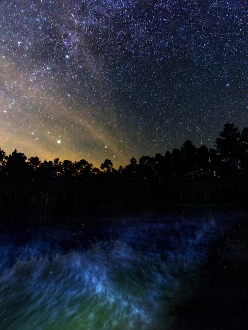 ضباب فوق بركة ليلاً، التقطت بعدسة Olympus M.zuiko 9-18mm f4-5.6