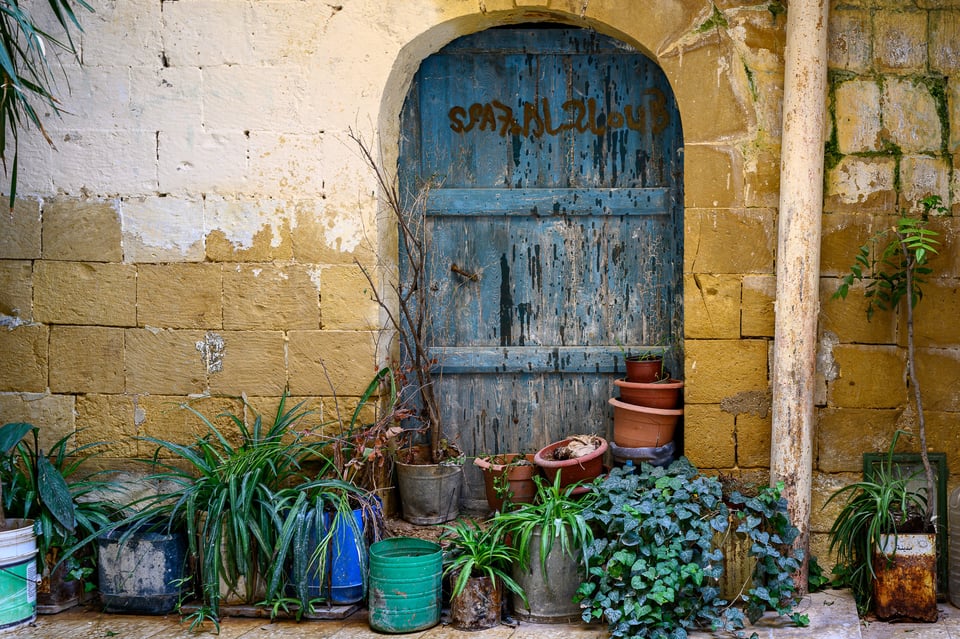 نموذج صورة بعدسة Nikon Z 35mm f1.8 S رقم 9