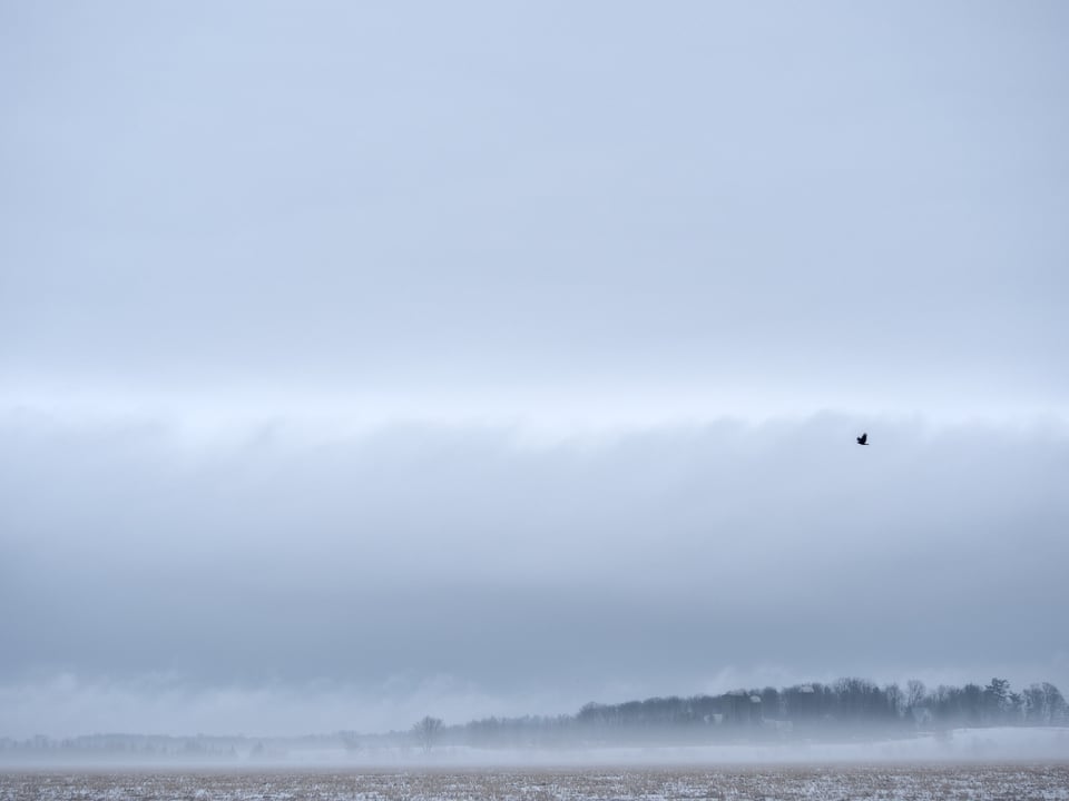 صورة ملتقطة بكاميرا Micro Four Thirds
