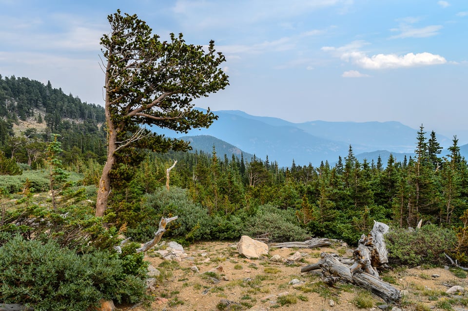 نموذج صور بعدسة Nikon 28mm f/1.8G (14)