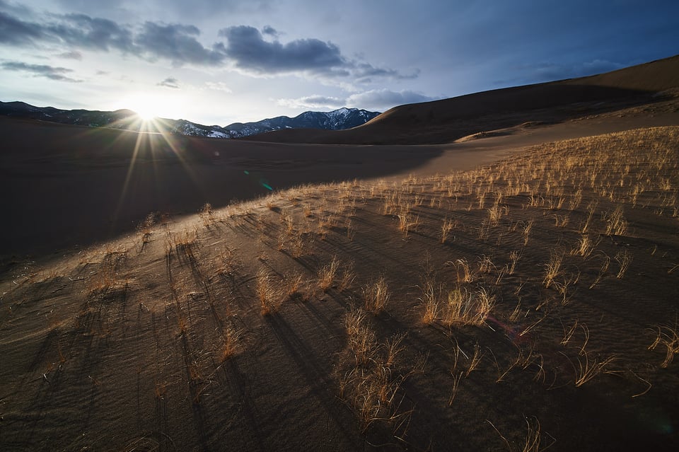 توهج وظلال عدسة Venus Optics Laowa 12mm f2.8