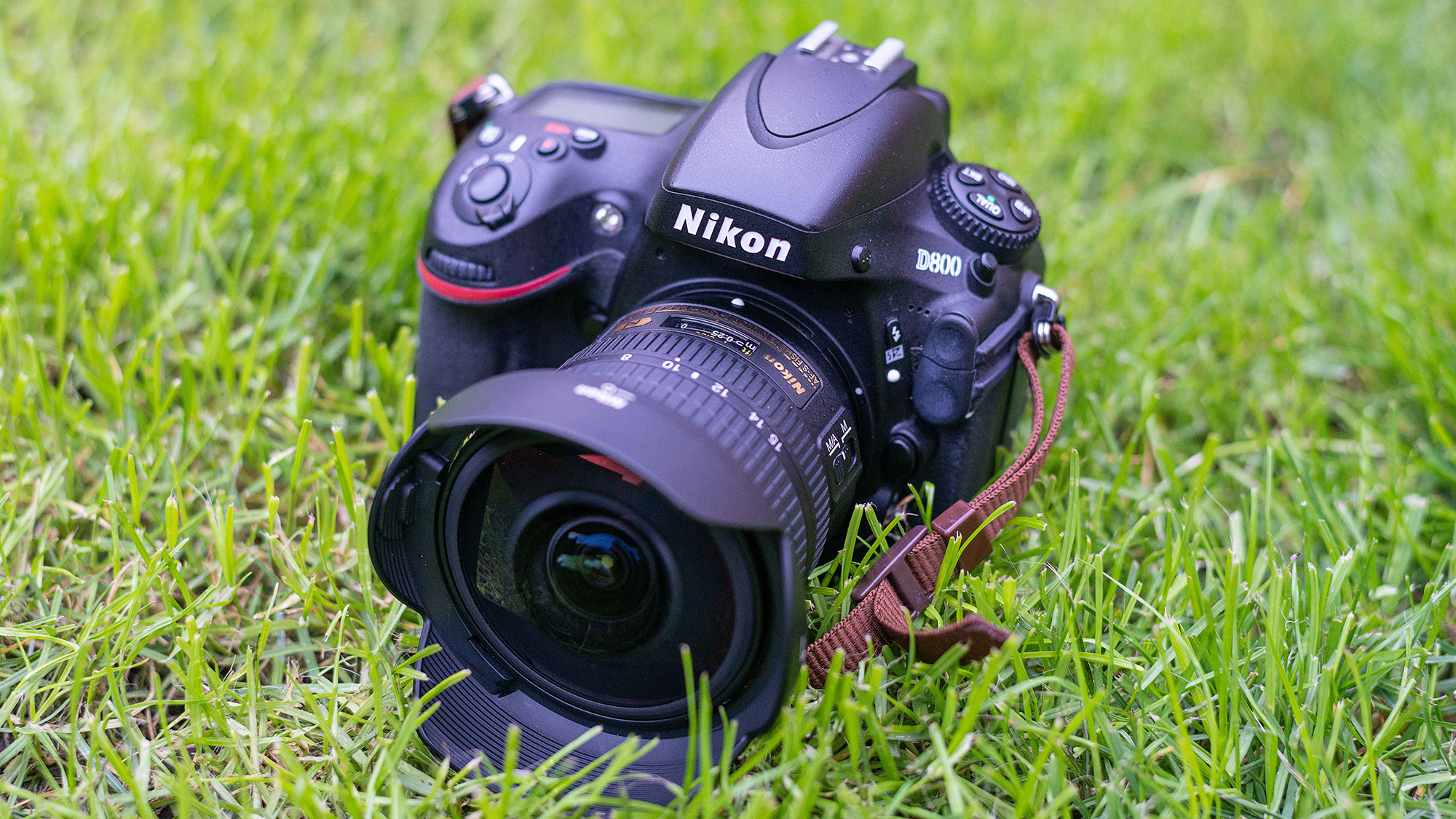 كاميرا Nikon D800 مع عدسة عين السمكة على عشب أخضر