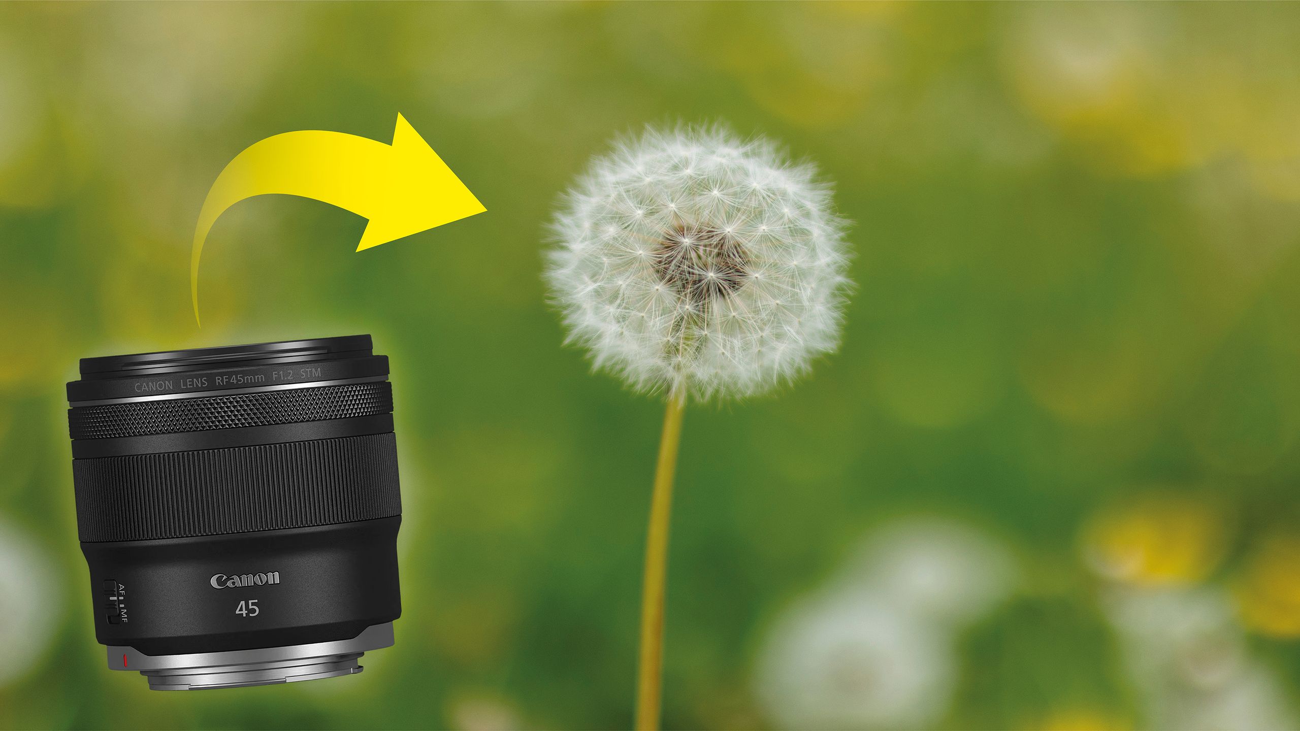 عدسة Canon الجديدة فائقة السرعة: 5 أضعاف أرخص تطلق العنان لإبداعي