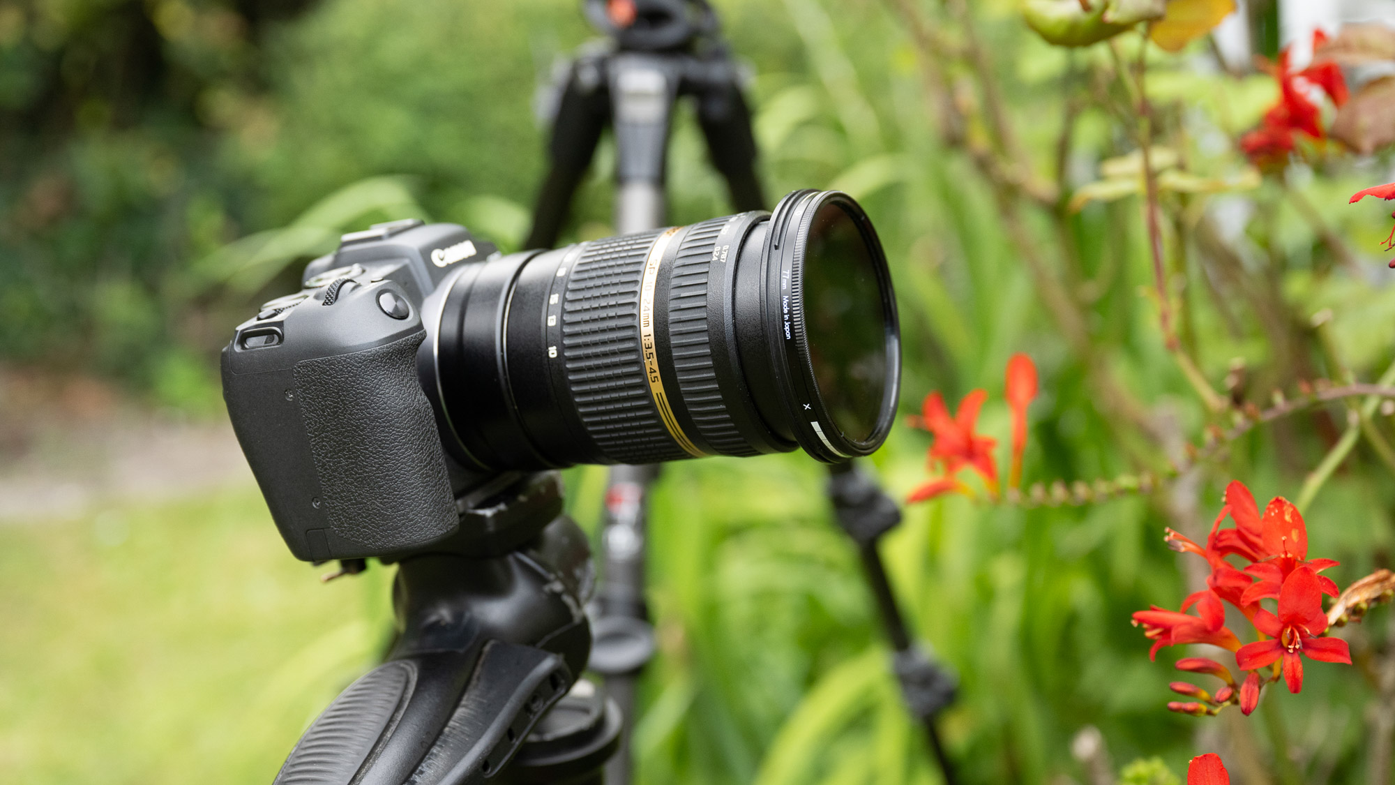 كاميرا Canon مثبتة على حامل ثلاثي مع عدسة Tamron واسعة الزاوية موجهة نحو بعض الأزهار الحمراء