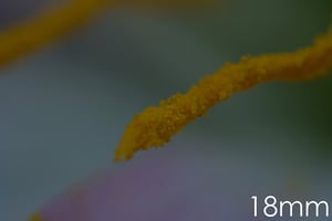 عدسة 18 مم