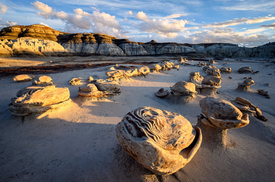 نموذج صورة من كاميرا Nikon Z6 II رقم 6