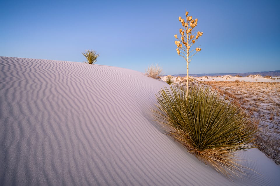 عينات صور من Nikon Z7 II #31