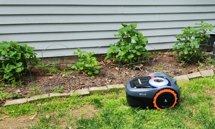 Segway Navimow i110 robot mowing along a border.
